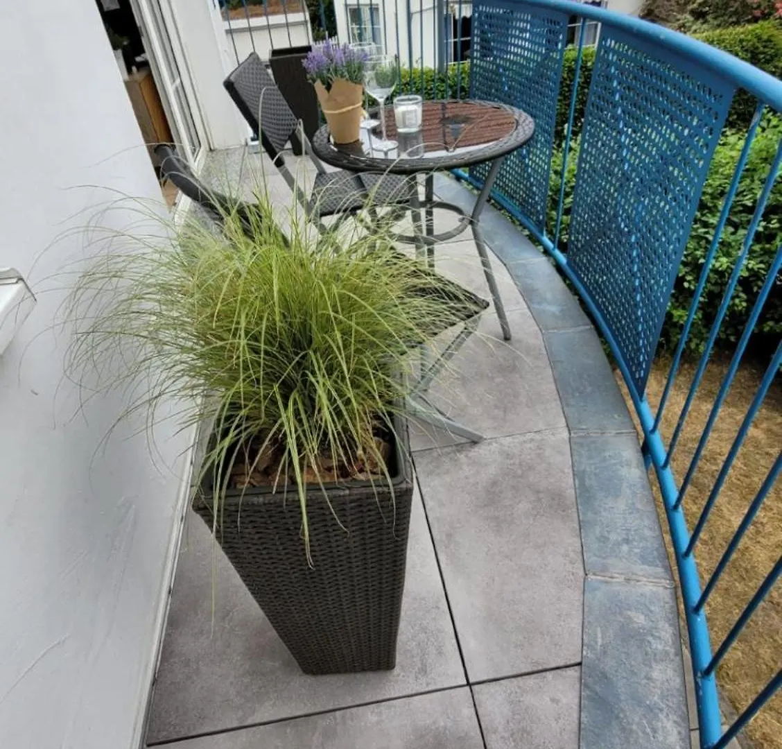公寓 Berlin-Oase - Schnuckelige Ferienwohnung An Der Grenze Zu Berlin 舍讷费尔德 德国